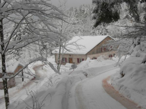 Отель Ferme Des Poncées  Жерардмер